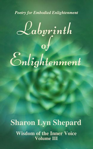 WIV III Labyrinth of Enlightenment Cover:thumbnail